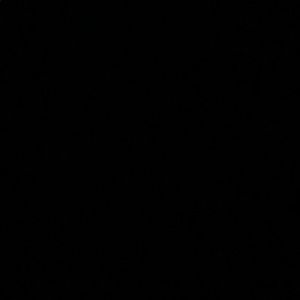 Meet your Posher, Summer